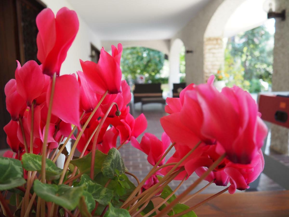 B&B Villa Filotea & Apartment Desenzano del Garda Zewnętrze zdjęcie